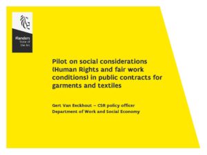 pilot-on-social-considerations-human-rights-and_pagina_1